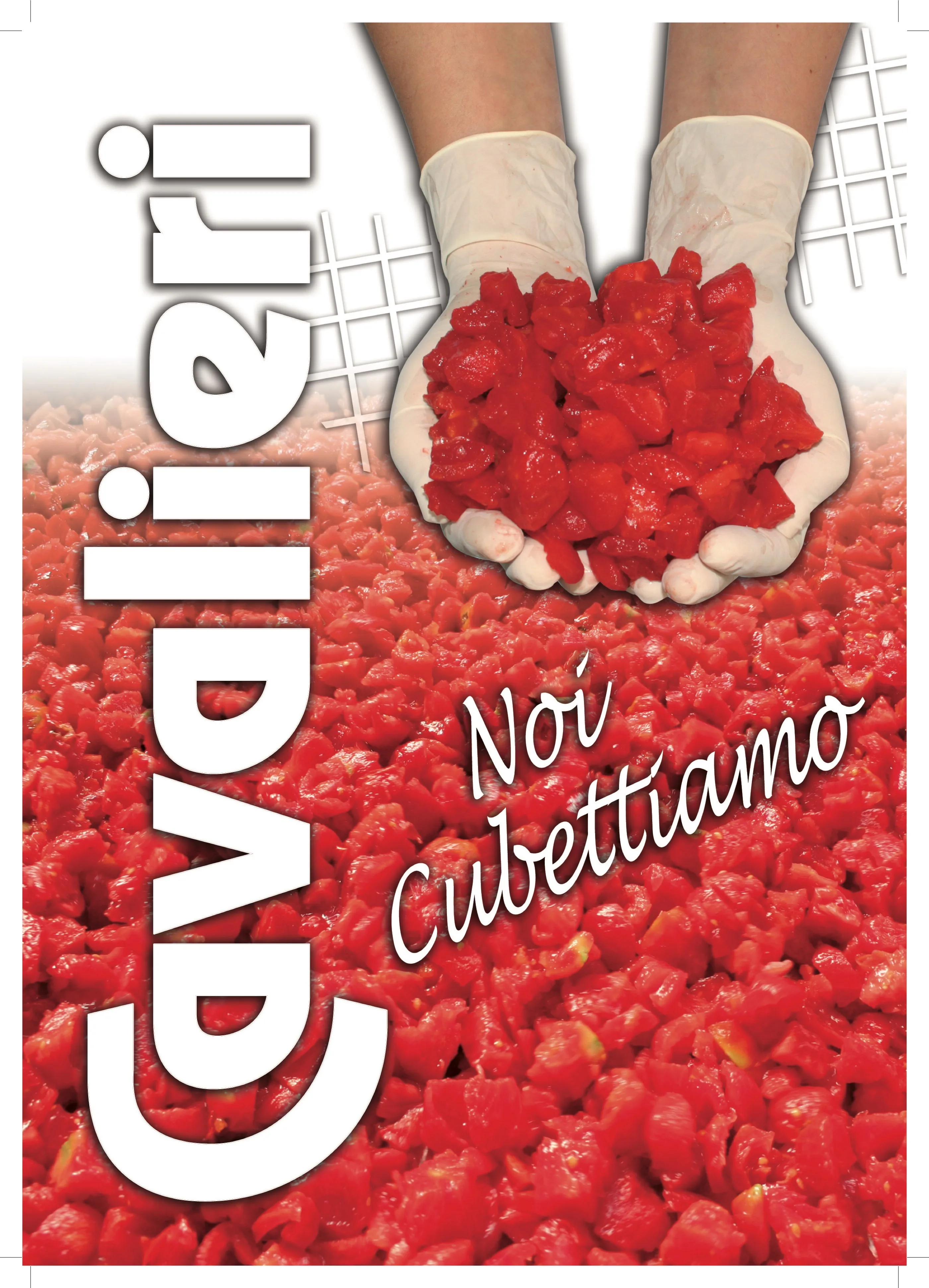 Copertina Noi Cubettiamo