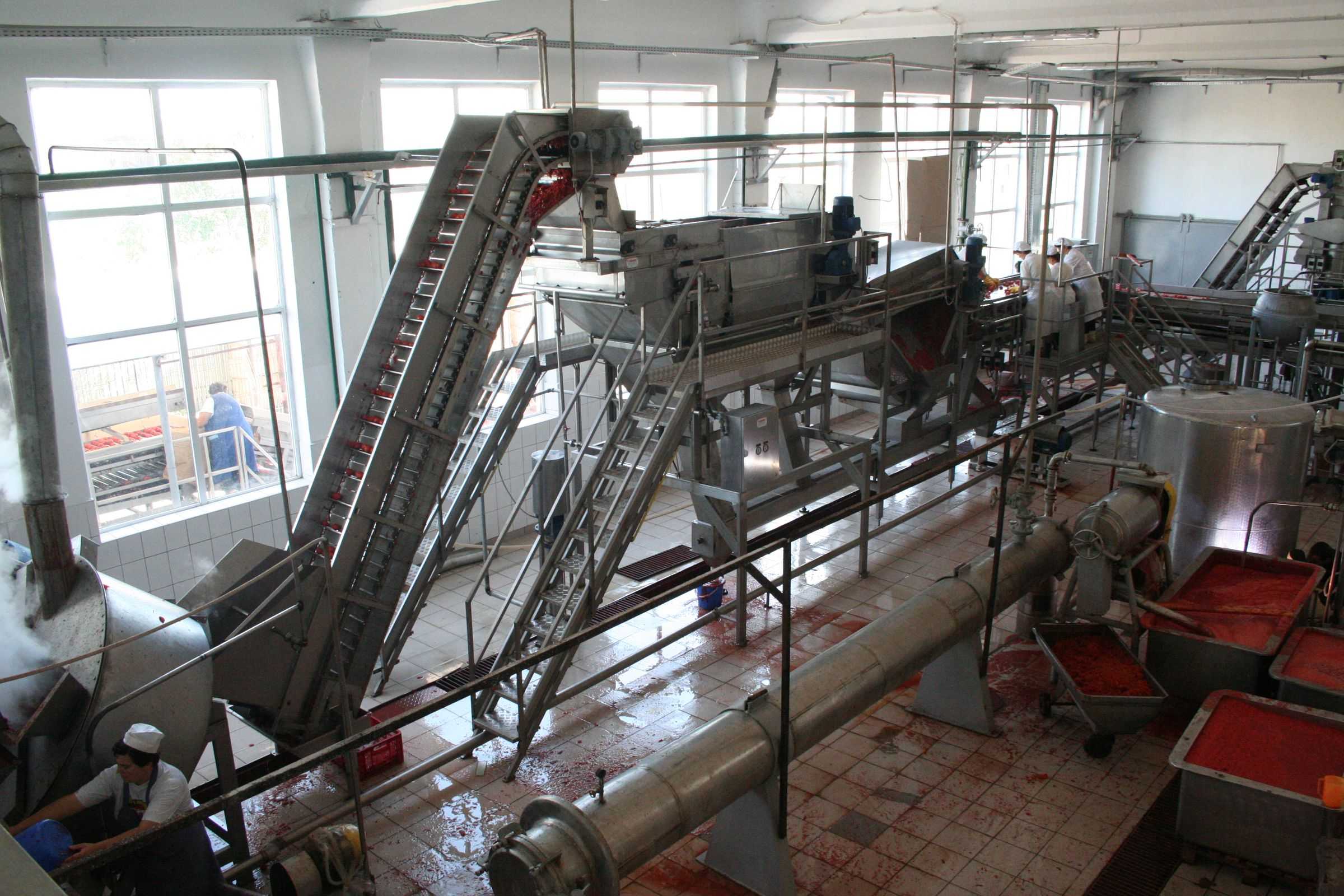 Pelatrice meccanica Sa206