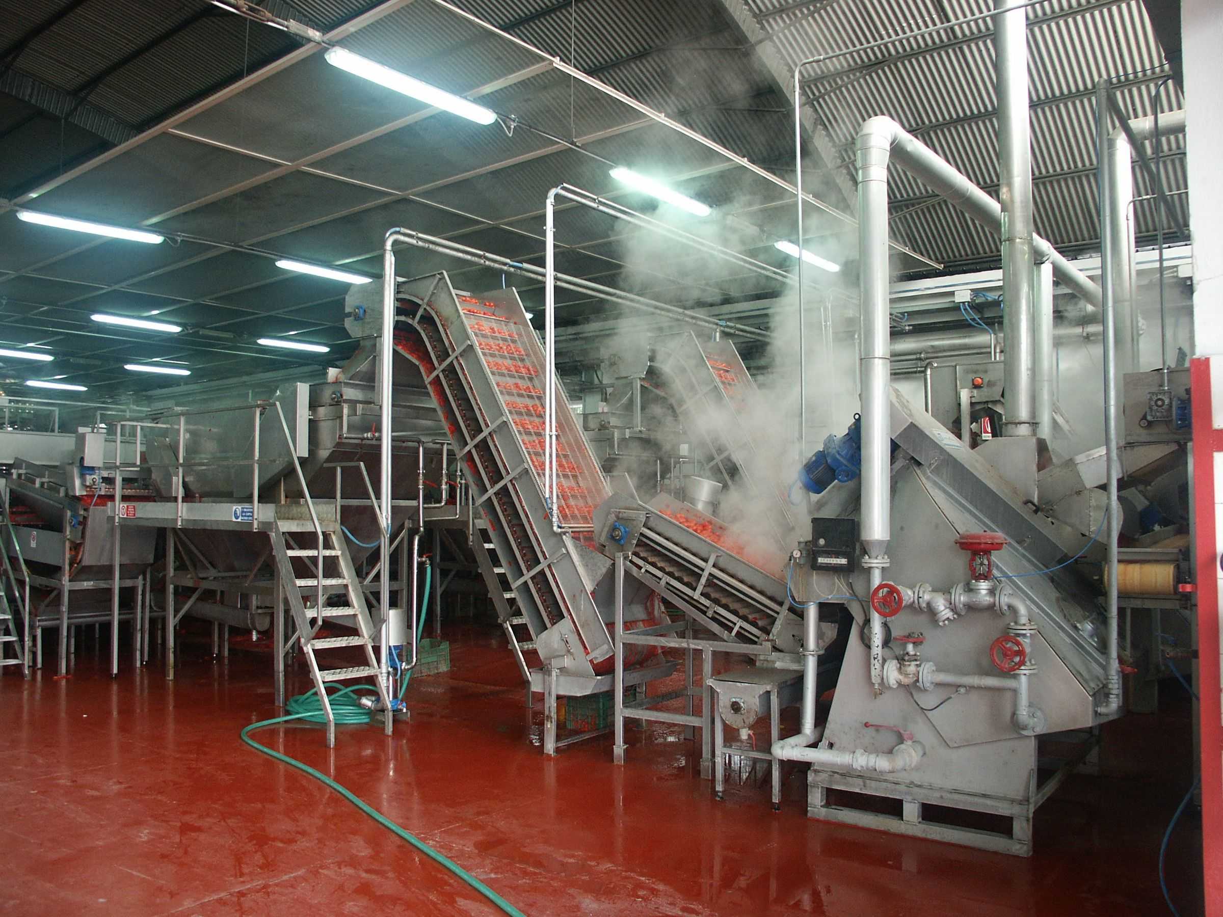 Pelatrice meccanica Sa206