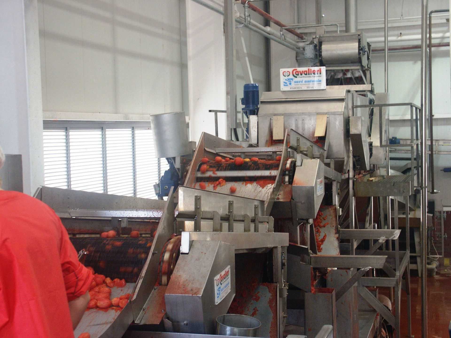 Linea industriale per la lavorazione del pomodoro