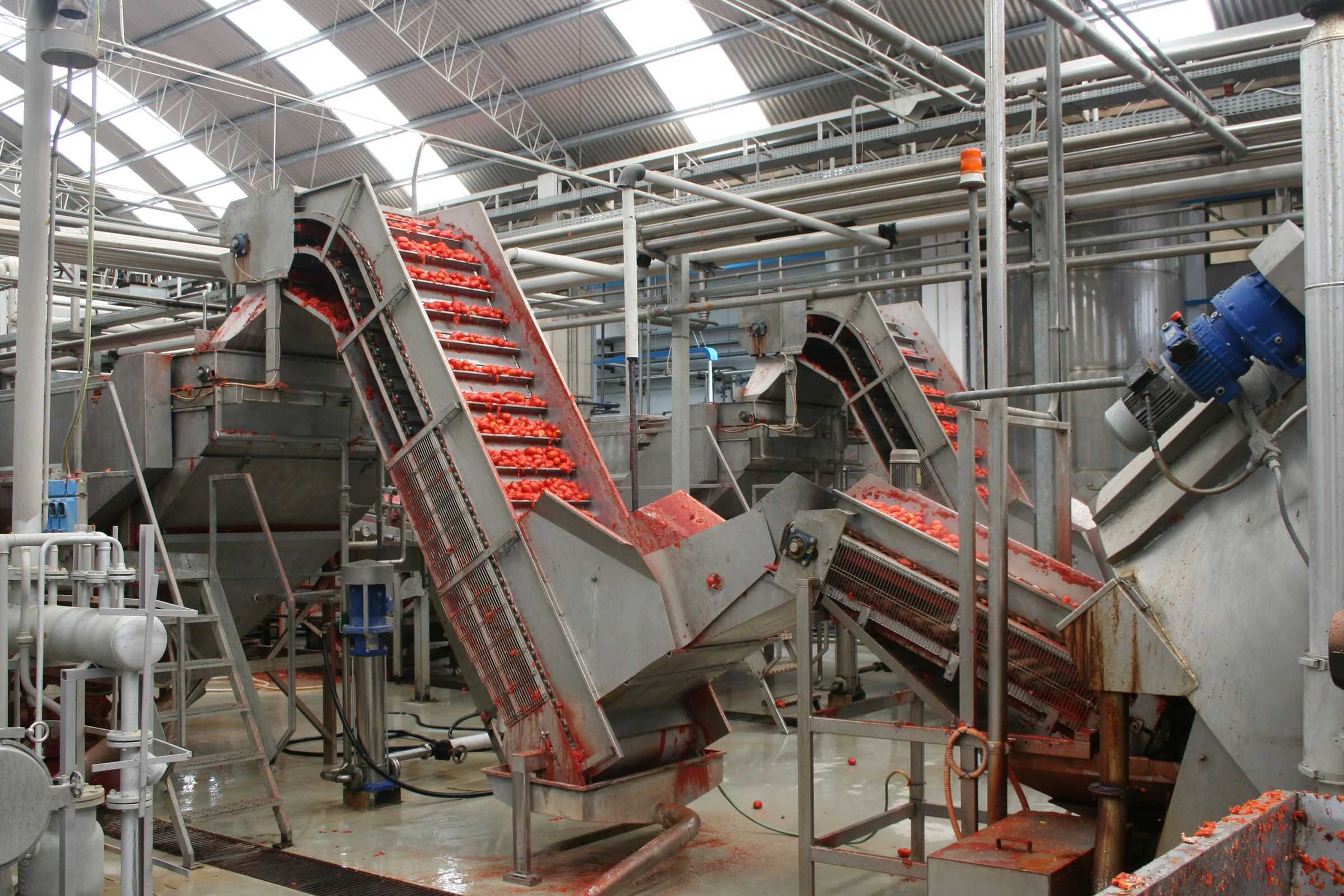 Pelatrice meccanica Sa206
