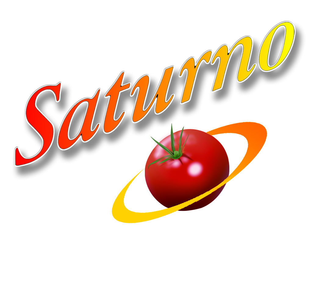 logo saturno2019