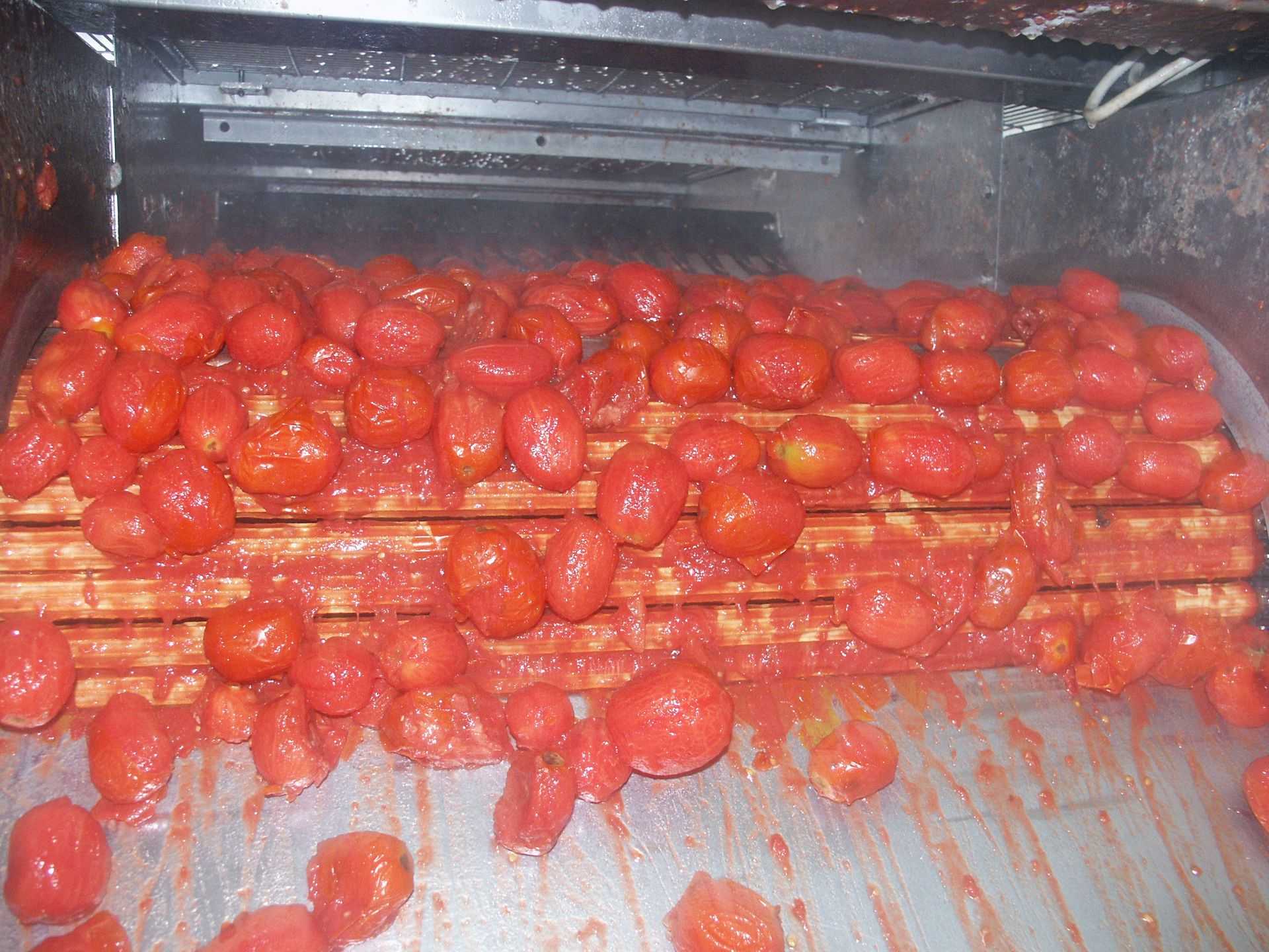 Industrial Tomato Peeling Skin Off Machine Tomato Peeler
